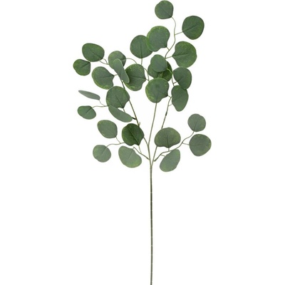 KS EUCALYPTUS POPULUS 77CM