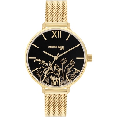 JVD SUN-S31