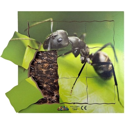 Just Jigsaws 646 Mravenec a jeho životní cyklus vrstvené 19 dílů