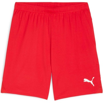 PUMA Teamgoal shorts m