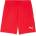 PUMA Teamgoal shorts m