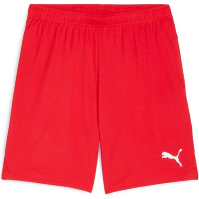PUMA Teamgoal shorts m