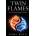 Twin Flames: : The Soul Journey Back to Oneness | Paul Kain
