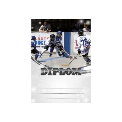 Diplom 6611