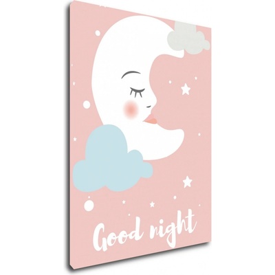 Impresi Obraz Good night pink moon - 30 x 40 cm