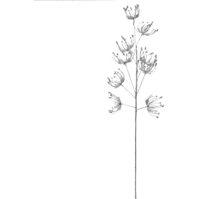 KONÁR DAUCUS STRIEBORNÝ 70CM