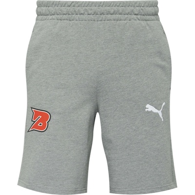 Puma TEAMGOAL CASUALS shorts BK KVIS PARDUBICE šedá Mix Bílá