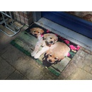 Esschert Design Best For Boots Štěňata světle hnědo-růžová 76 x 45,5 cm