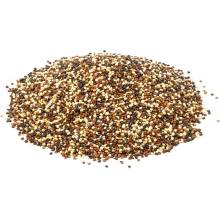 ProdejnaBylin Quinoa trikolora 5 kg