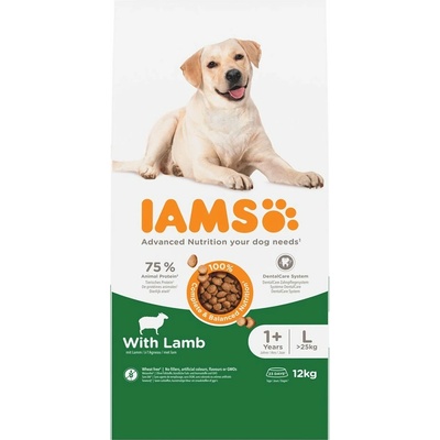 Iams Advanced Nutrition Adult Large Dog jahňacie 2 x 12 kg
