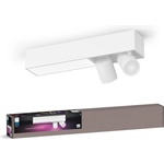 Philips Hue Centris 929003808501