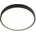 Top Light 1564