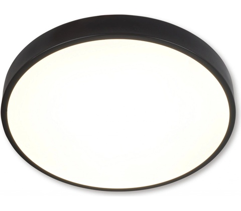 Top Light 1564