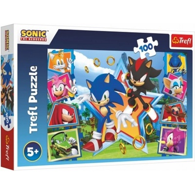 Trefl Sonic the Hedgehog Seznamte se se Sonicem 100 dielov
