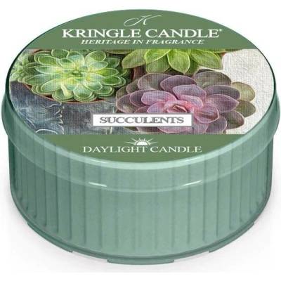 Kringle Candle Succulents 35 g