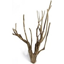Macenauer kořen Talawa Wood XL 80-100 cm