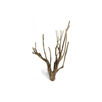 Macenauer kořen Talawa Wood XL 80-100 cm – Zboží Dáma