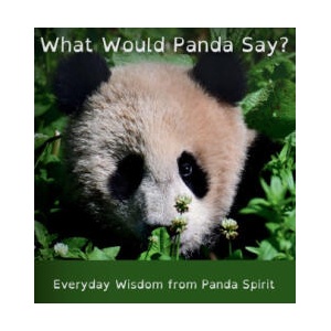 What Would Panda Say? | Q. Grinsven, Q. Grinsven (2025)