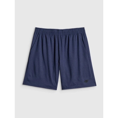4f pánské šortky SHORTS FNK