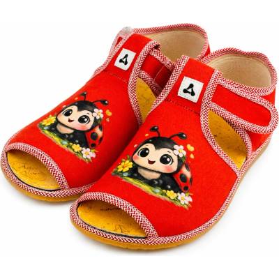 Antal Rover Ladybug