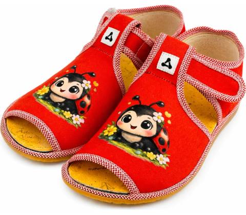 Antal Rover Ladybug