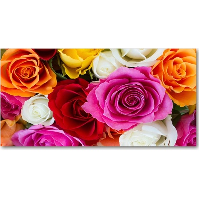Foto obraz sklo tvrzené farebné ruže 100x50 cm