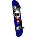 Powell Peralta Skull and Snake One Off