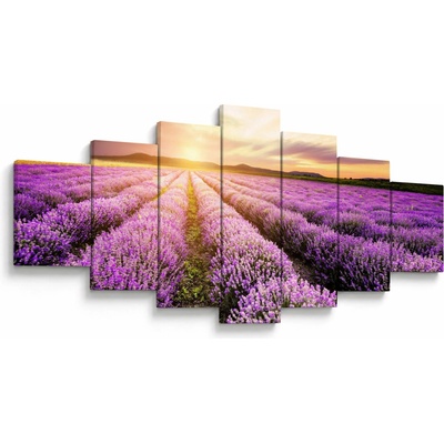 Obraz - Východ slnka v levanduľovom poli, sedemdielne 210x100 cm