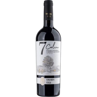 Vinaria Din Vale Feteasca Neagra Cabernet S. Suché červené 2018 13,72% 0,75 l (holá láhev)