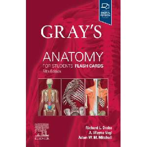Gray's Anatomy for Students Flash Cards (ISBN: 9780443105142)