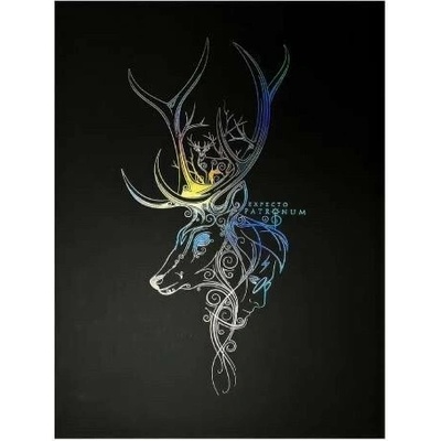 imago Obraz Harry Potter - Patronus