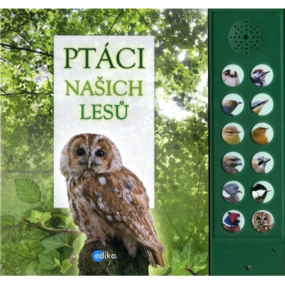 Ptáci našich lesů