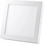 NEDES LPL421