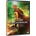 Thor Ragnarok DVD