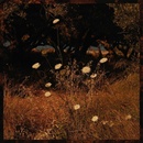 Earth Patterns - Szun Waves LP