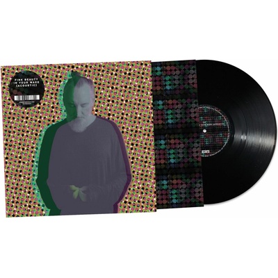 Fink: Beauty In Your Wake Acoustic LP