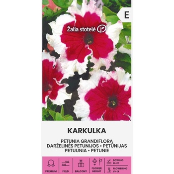 Image 1 of Seklos Едроцветна Петуния Каркул Petunia grandiflora Karkulka