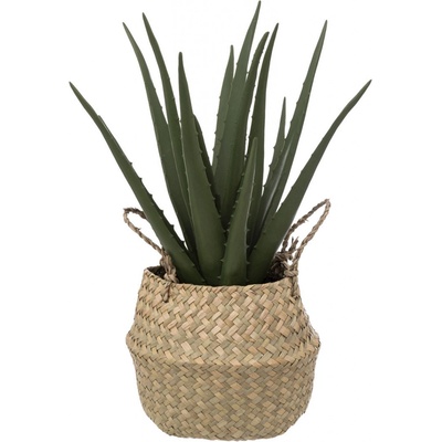 Atmosphera Umělá rostlina ALOE v košíku, 37 cm béžová
