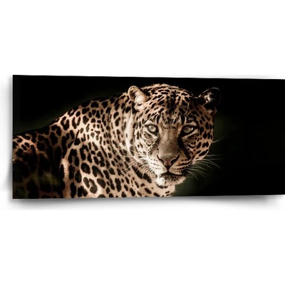 Sablio Obraz Leopard - 110x50 cm