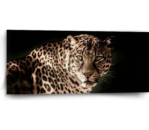 Sablio Obraz Leopard - 110x50 cm