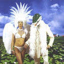 Alligator Farm - Paul Gilbert CD