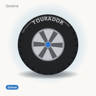 Tourador Winter PRO TSS1 235/55 R19 105T