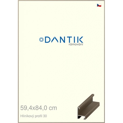 DANTIK rám na obraz 59,4x84 champagne