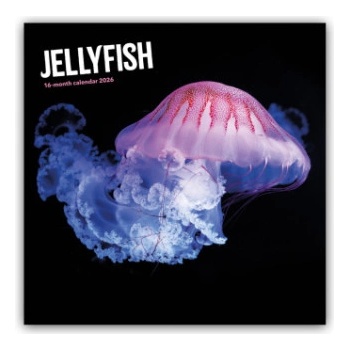 Browntrout Verlags GmbH Jellyfish - Quallen 2026 - Wand-Kalender