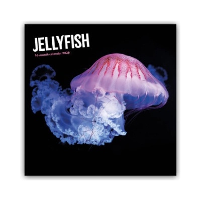 Browntrout Verlags GmbH Jellyfish - Quallen 2026 - Wand-Kalender | Carousel Calendar
