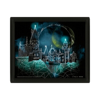 Harry Potter Obraz 3D - Bradavice