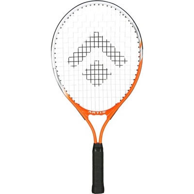 Artis Standard 21