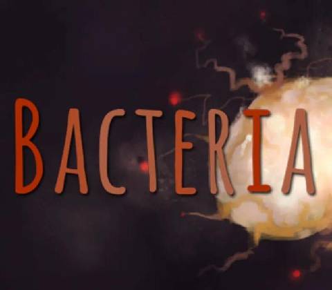 Bacteria