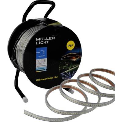 Müller-Licht 21600028