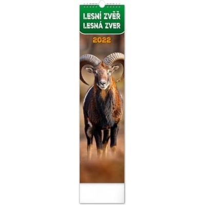 nástěnný Lesní zvěř Lesná zver 12 × 48 cm 2022